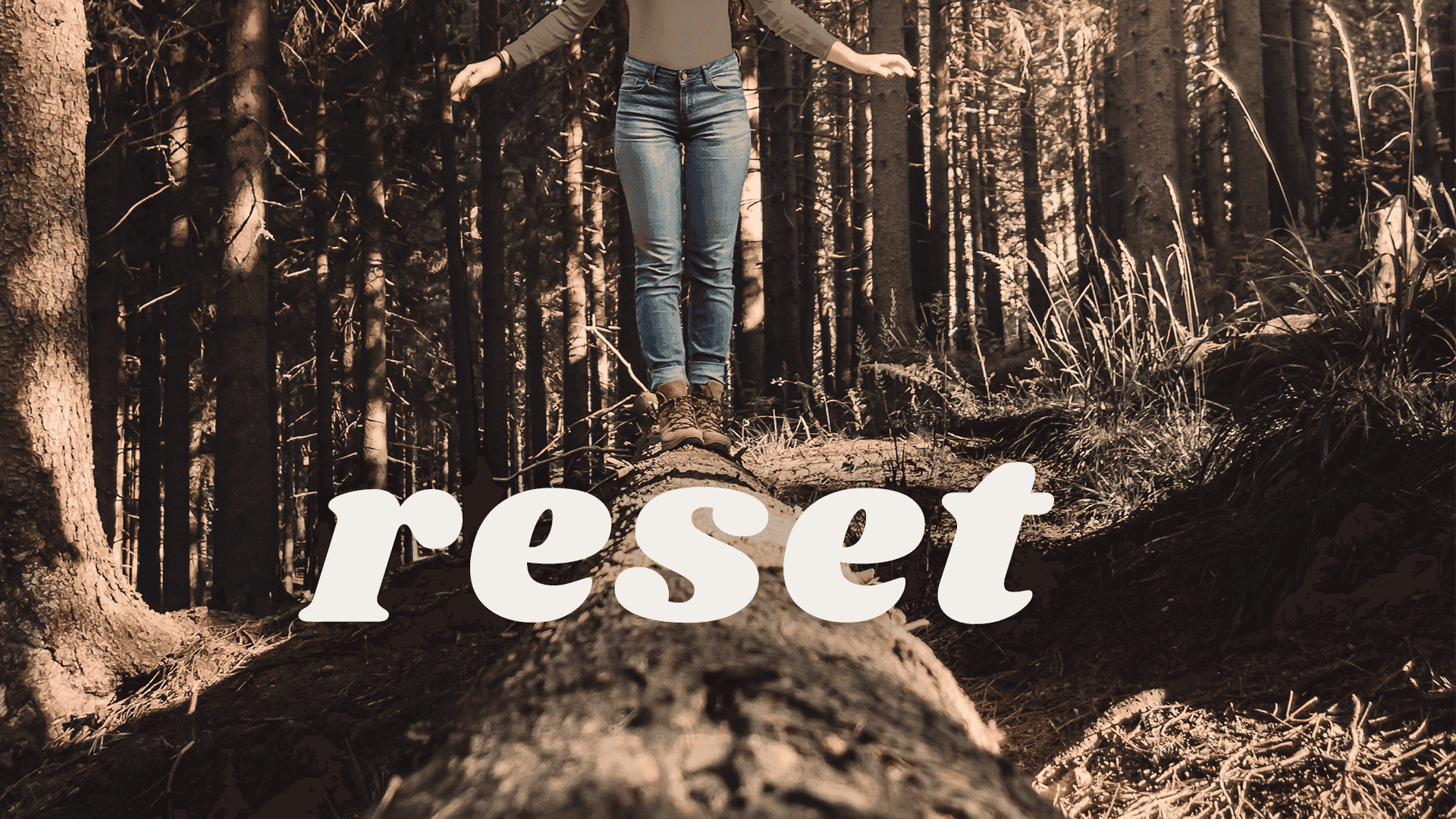 Reset