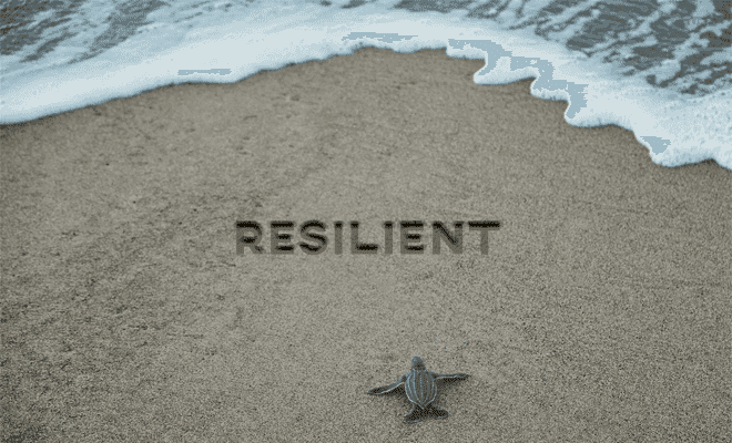 Resilient