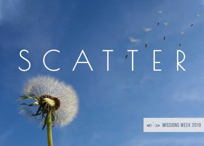 Scatter